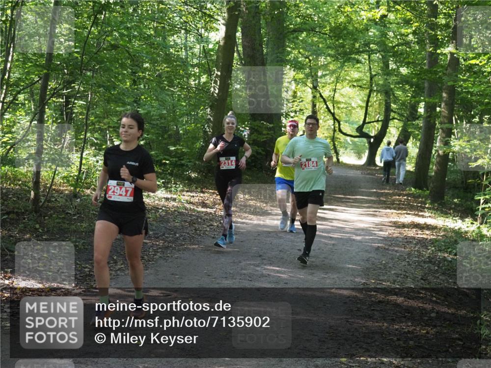 22.09.2024 - 32. Volkslauf durch das schöne Alstertal Miley Keyser http://msf.ph/oto/7135902 22.09.2024 10:44:11 Laufen 2947, 2314, 2184 meine-sportfotos.de
