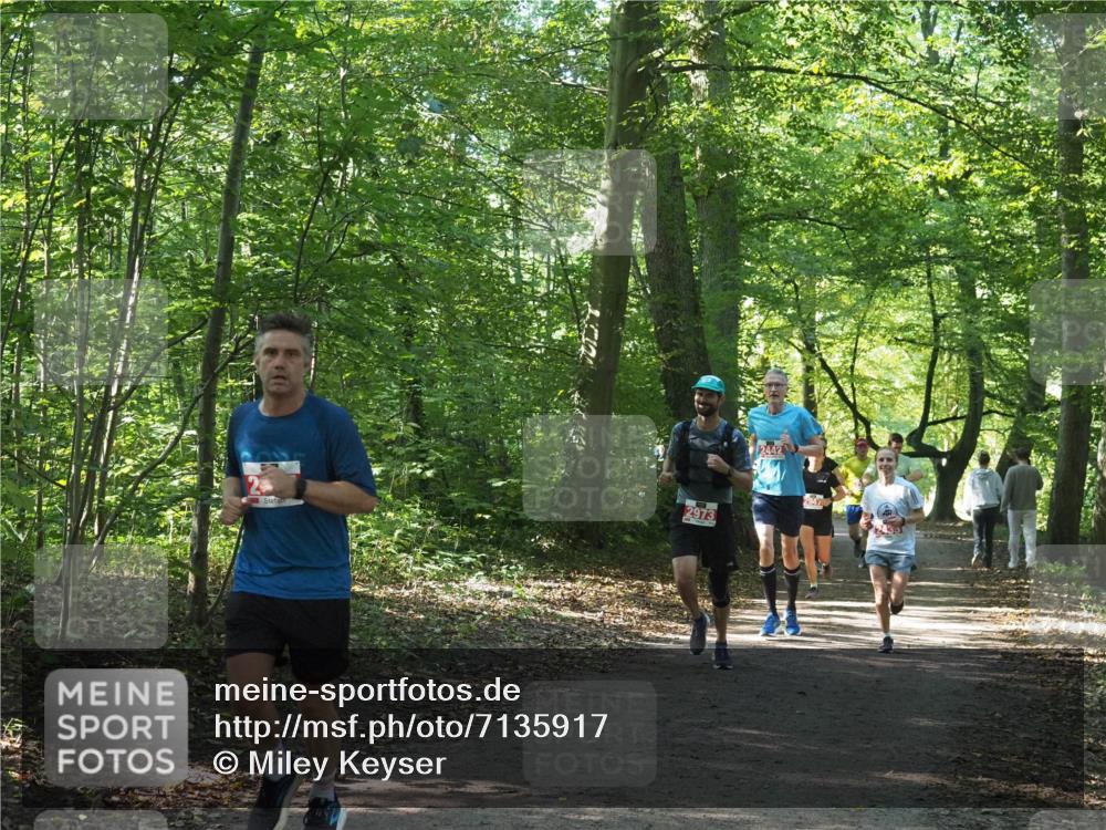 22.09.2024 - 32. Volkslauf durch das schöne Alstertal Miley Keyser http://msf.ph/oto/7135917 22.09.2024 10:44:06 Laufen 2973, 2442, 435 meine-sportfotos.de