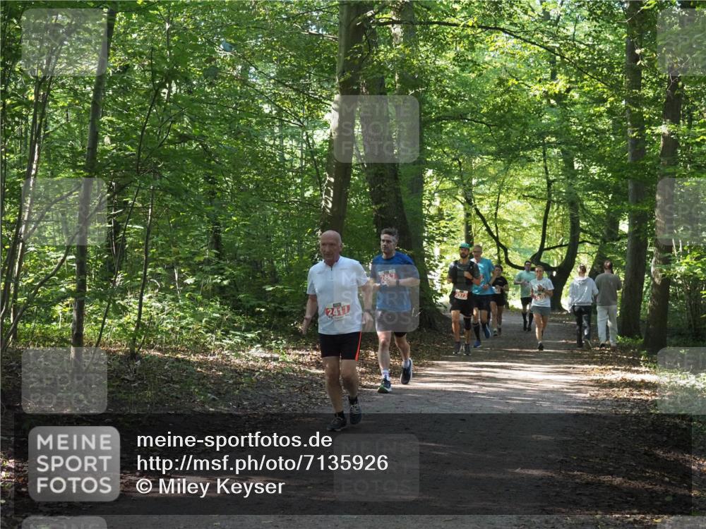 22.09.2024 - 32. Volkslauf durch das schöne Alstertal Miley Keyser http://msf.ph/oto/7135926 22.09.2024 10:44:04 Laufen 2417, 2973 meine-sportfotos.de