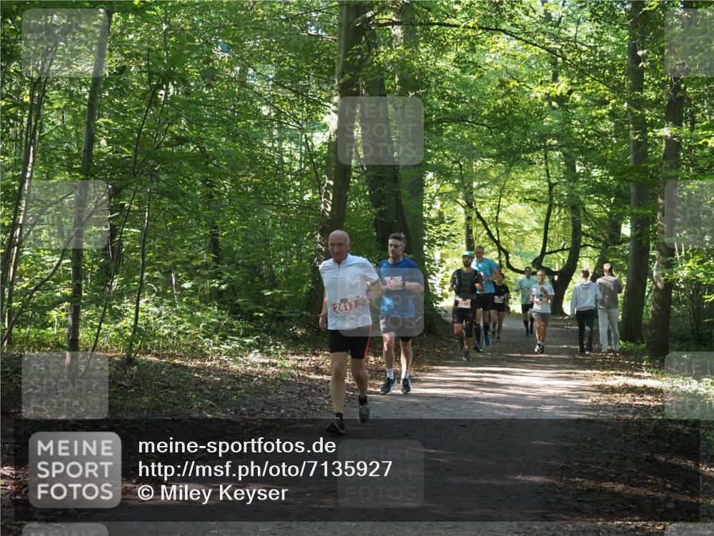 22.09.2024 - 32. Volkslauf durch das schöne Alstertal Miley Keyser http://msf.ph/oto/7135927 22.09.2024 10:44:03 Laufen 2417 meine-sportfotos.de