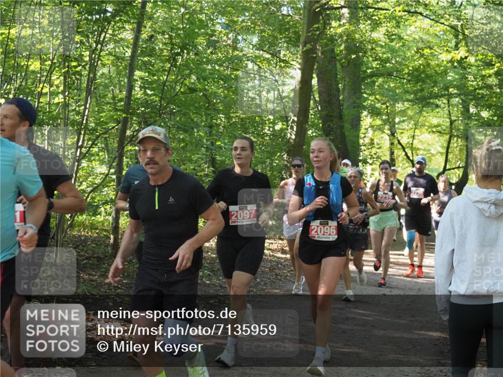 22.09.2024 - 32. Volkslauf durch das schöne Alstertal Miley Keyser http://msf.ph/oto/7135959 22.09.2024 10:43:44 Laufen 6, 2097, 2096 meine-sportfotos.de