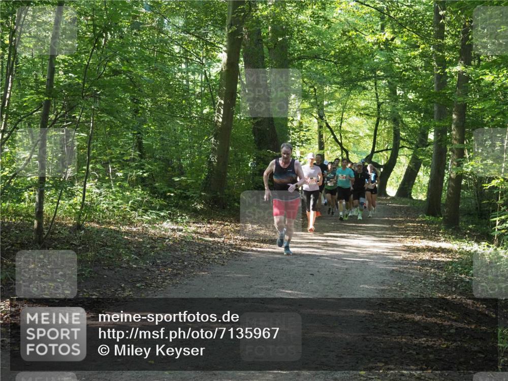 22.09.2024 - 32. Volkslauf durch das schöne Alstertal Miley Keyser http://msf.ph/oto/7135967 22.09.2024 10:43:37 Laufen  meine-sportfotos.de