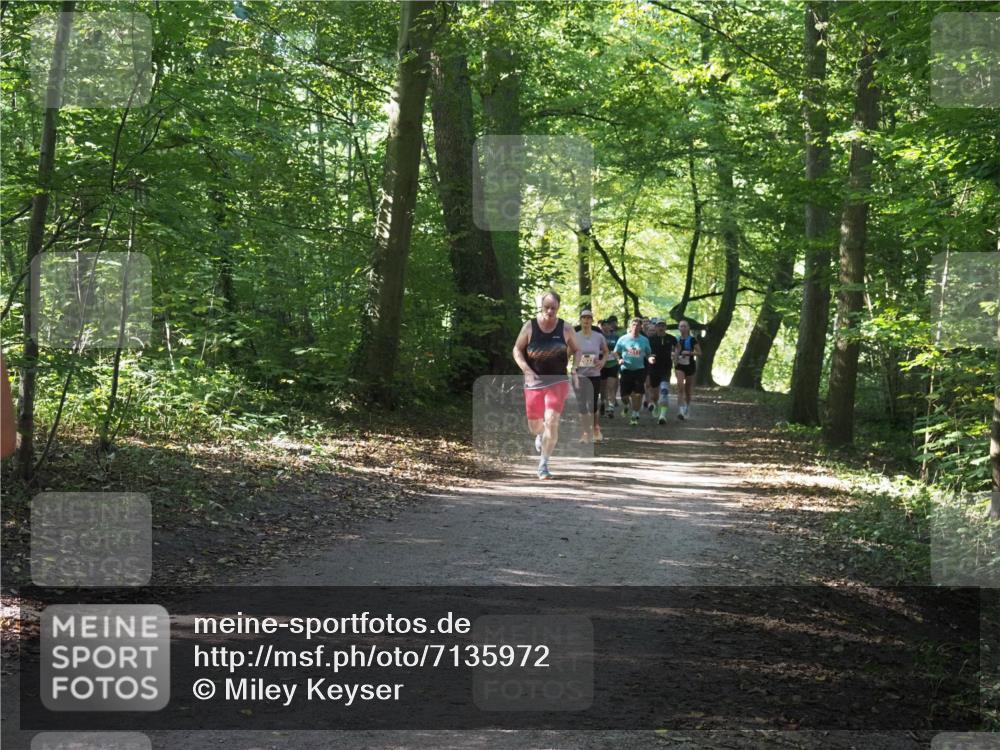 22.09.2024 - 32. Volkslauf durch das schöne Alstertal Miley Keyser http://msf.ph/oto/7135972 22.09.2024 10:43:36 Laufen  meine-sportfotos.de