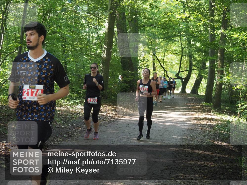 22.09.2024 - 32. Volkslauf durch das schöne Alstertal Miley Keyser http://msf.ph/oto/7135977 22.09.2024 10:43:34 Laufen 2174, 2168, 2412 meine-sportfotos.de