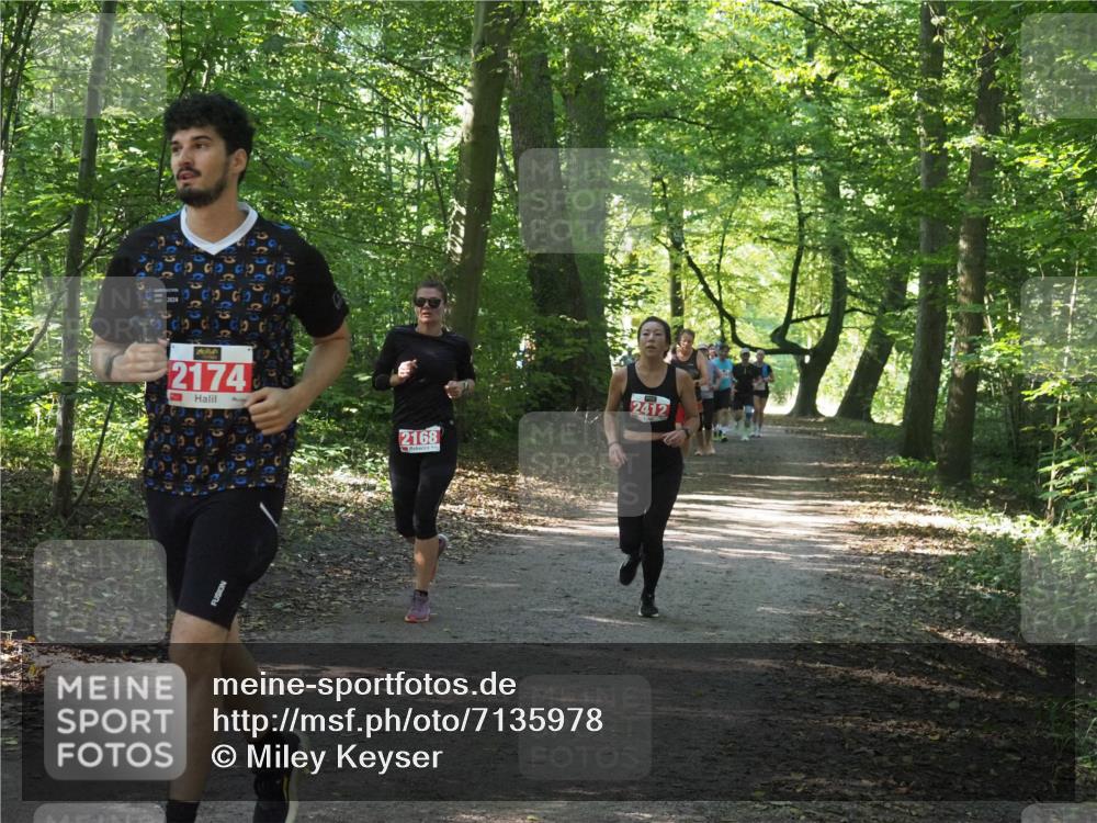 22.09.2024 - 32. Volkslauf durch das schöne Alstertal Miley Keyser http://msf.ph/oto/7135978 22.09.2024 10:43:34 Laufen 2174, 2168, 2412 meine-sportfotos.de