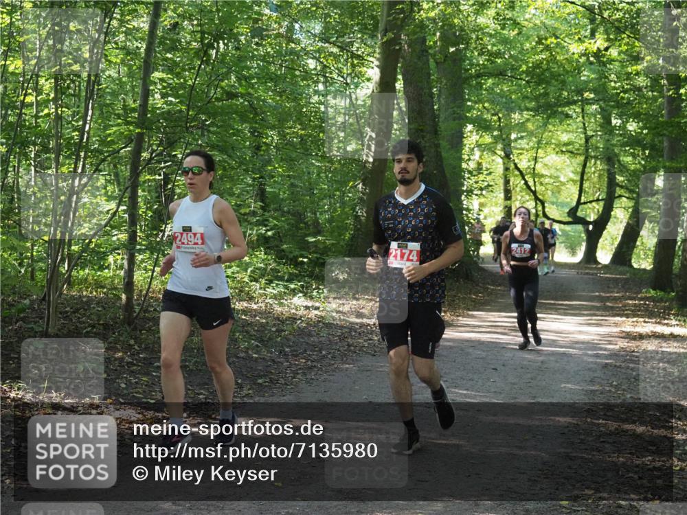 22.09.2024 - 32. Volkslauf durch das schöne Alstertal Miley Keyser http://msf.ph/oto/7135980 22.09.2024 10:43:33 Laufen 2494, 2174, 2412 meine-sportfotos.de