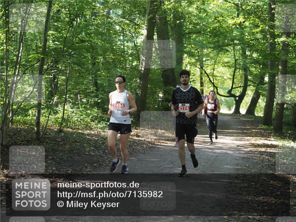 22.09.2024 - 32. Volkslauf durch das schöne Alstertal Miley Keyser http://msf.ph/oto/7135982 22.09.2024 10:43:32 Laufen 2494, 2174 meine-sportfotos.de