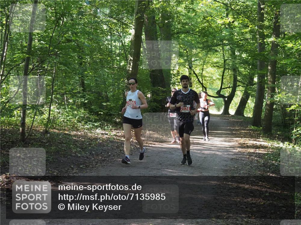 22.09.2024 - 32. Volkslauf durch das schöne Alstertal Miley Keyser http://msf.ph/oto/7135985 22.09.2024 10:43:32 Laufen 2494, 2168, 2174 meine-sportfotos.de