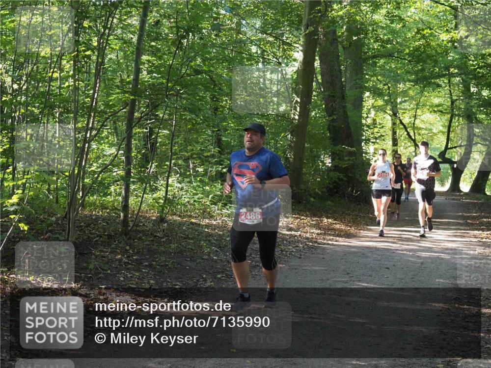 22.09.2024 - 32. Volkslauf durch das schöne Alstertal Miley Keyser http://msf.ph/oto/7135990 22.09.2024 10:43:29 Laufen 2486, 2494, 4168 meine-sportfotos.de