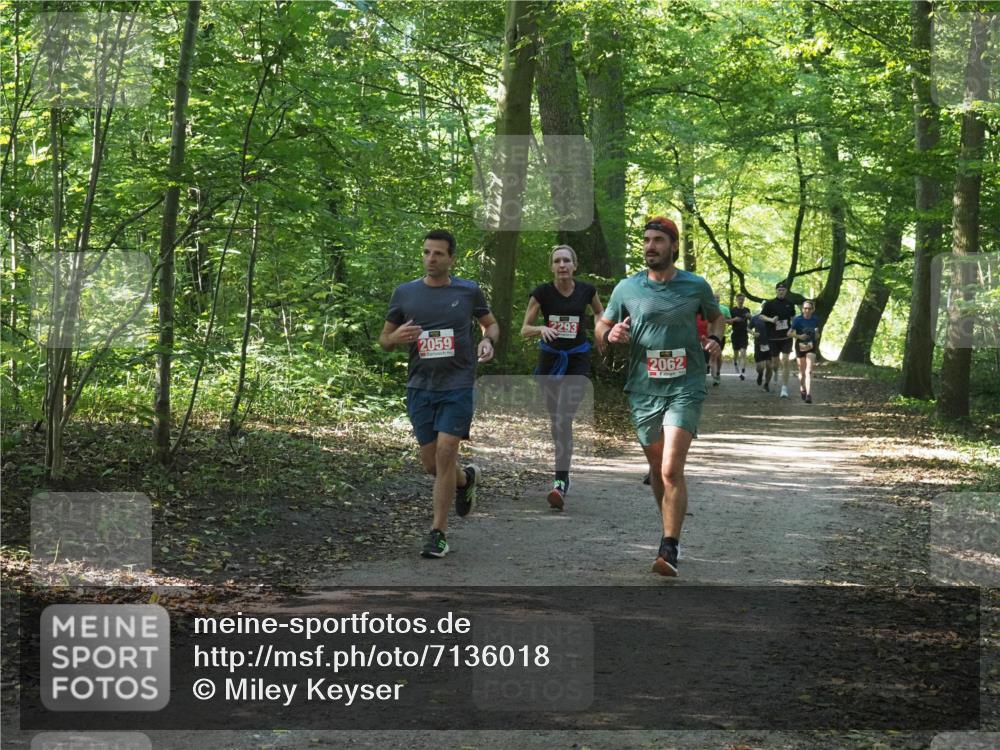 22.09.2024 - 32. Volkslauf durch das schöne Alstertal Miley Keyser http://msf.ph/oto/7136018 22.09.2024 10:43:15 Laufen 2059, 2293, 2062 meine-sportfotos.de