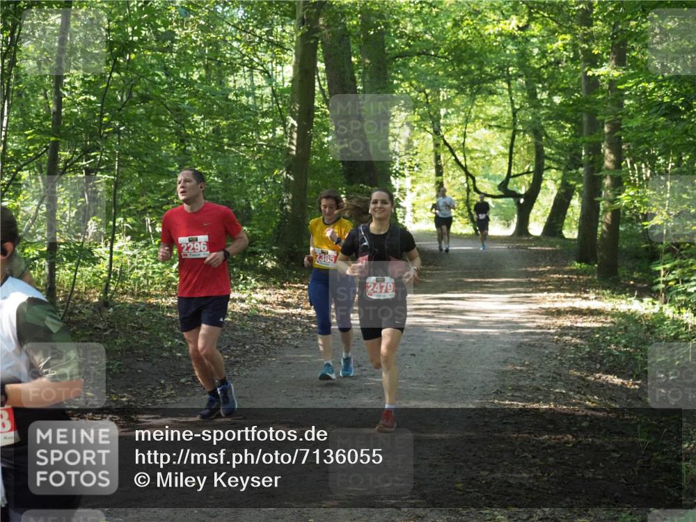 22.09.2024 - 32. Volkslauf durch das schöne Alstertal Miley Keyser http://msf.ph/oto/7136055 22.09.2024 10:42:46 Laufen 2296, 2385, 2479 meine-sportfotos.de