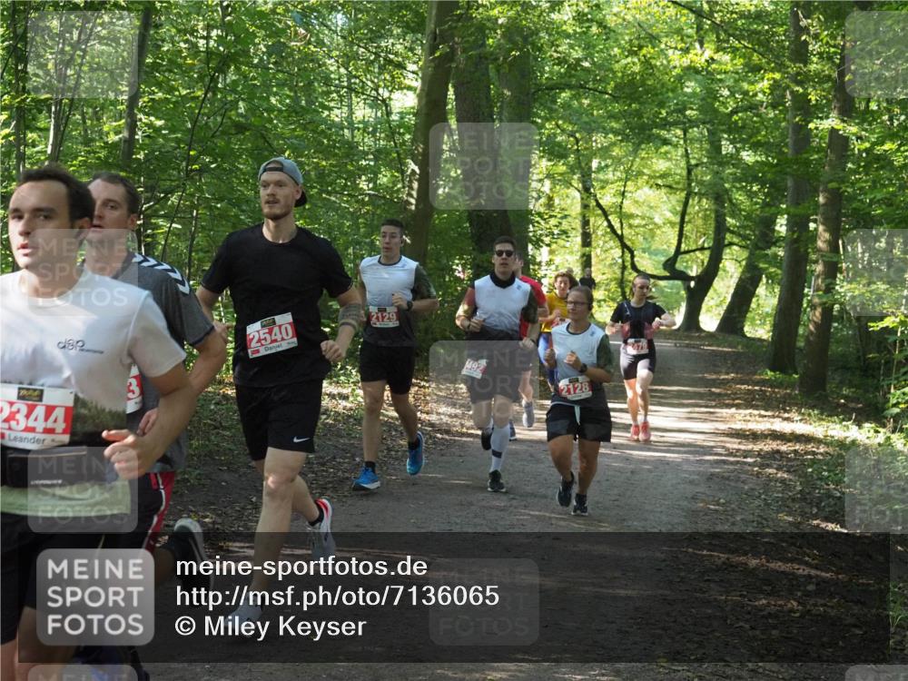 22.09.2024 - 32. Volkslauf durch das schöne Alstertal Miley Keyser http://msf.ph/oto/7136065 22.09.2024 10:42:44 Laufen 2344, 2540, 2129, 2128, 479 meine-sportfotos.de