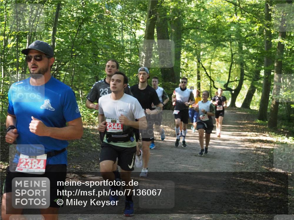 22.09.2024 - 32. Volkslauf durch das schöne Alstertal Miley Keyser http://msf.ph/oto/7136067 22.09.2024 10:42:43 Laufen 2384, 23, 2344, 2128 meine-sportfotos.de