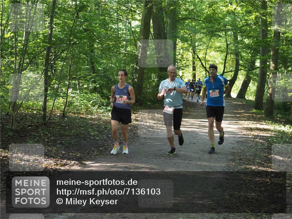 22.09.2024 - 32. Volkslauf durch das schöne Alstertal Miley Keyser http://msf.ph/oto/7136103 22.09.2024 10:42:30 Laufen 2455, 243 meine-sportfotos.de