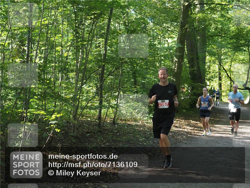 22.09.2024 - 32. Volkslauf durch das schöne Alstertal Miley Keyser http://msf.ph/oto/7136109 22.09.2024 10:42:28 Laufen 2167 meine-sportfotos.de