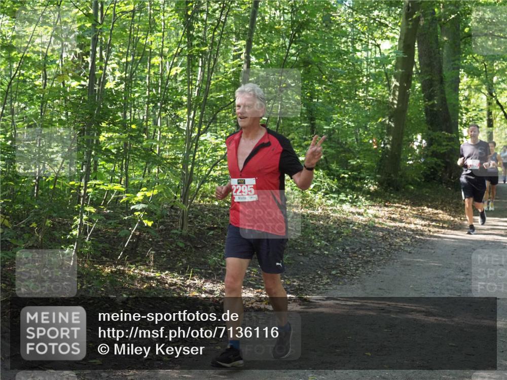 22.09.2024 - 32. Volkslauf durch das schöne Alstertal Miley Keyser http://msf.ph/oto/7136116 22.09.2024 10:42:26 Laufen 2295 meine-sportfotos.de