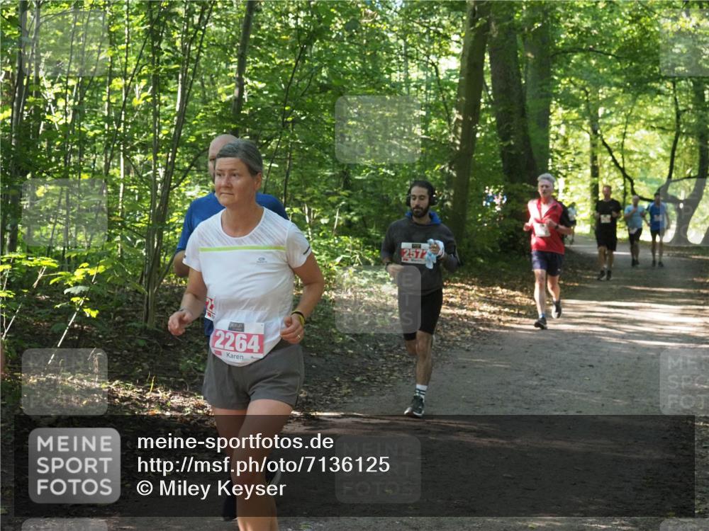 22.09.2024 - 32. Volkslauf durch das schöne Alstertal Miley Keyser http://msf.ph/oto/7136125 22.09.2024 10:42:22 Laufen 2264, 2572 meine-sportfotos.de