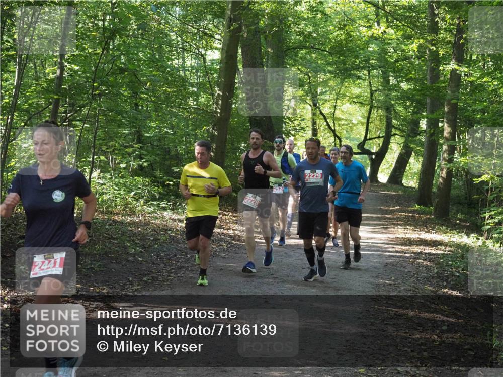 22.09.2024 - 32. Volkslauf durch das schöne Alstertal Miley Keyser http://msf.ph/oto/7136139 22.09.2024 10:42:19 Laufen 2441, 2229 meine-sportfotos.de