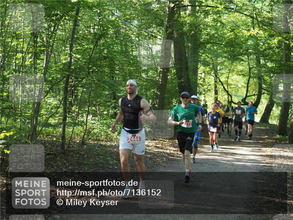 22.09.2024 - 32. Volkslauf durch das schöne Alstertal Miley Keyser http://msf.ph/oto/7136152 22.09.2024 10:42:15 Laufen 2444 meine-sportfotos.de