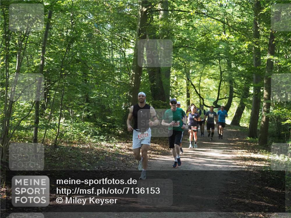 22.09.2024 - 32. Volkslauf durch das schöne Alstertal Miley Keyser http://msf.ph/oto/7136153 22.09.2024 10:42:14 Laufen 2444 meine-sportfotos.de