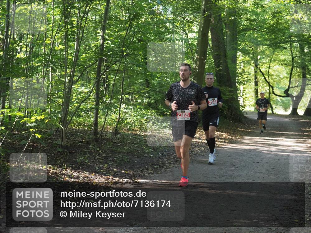 22.09.2024 - 32. Volkslauf durch das schöne Alstertal Miley Keyser http://msf.ph/oto/7136174 22.09.2024 10:42:00 Laufen 2365, 2945 meine-sportfotos.de