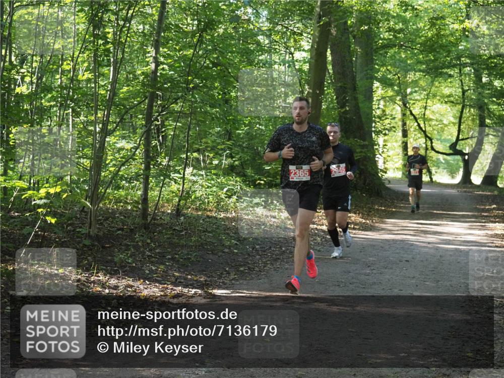 22.09.2024 - 32. Volkslauf durch das schöne Alstertal Miley Keyser http://msf.ph/oto/7136179 22.09.2024 10:42:00 Laufen 2365 meine-sportfotos.de