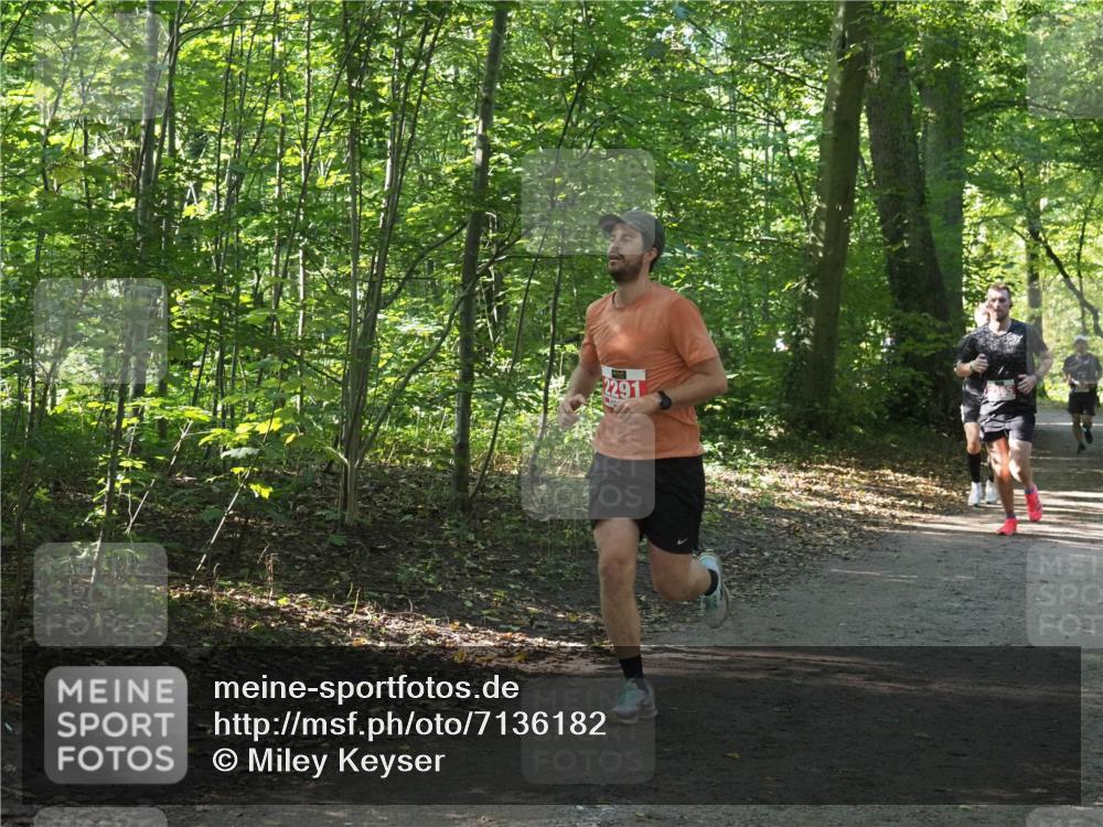 22.09.2024 - 32. Volkslauf durch das schöne Alstertal Miley Keyser http://msf.ph/oto/7136182 22.09.2024 10:41:58 Laufen 2291 meine-sportfotos.de