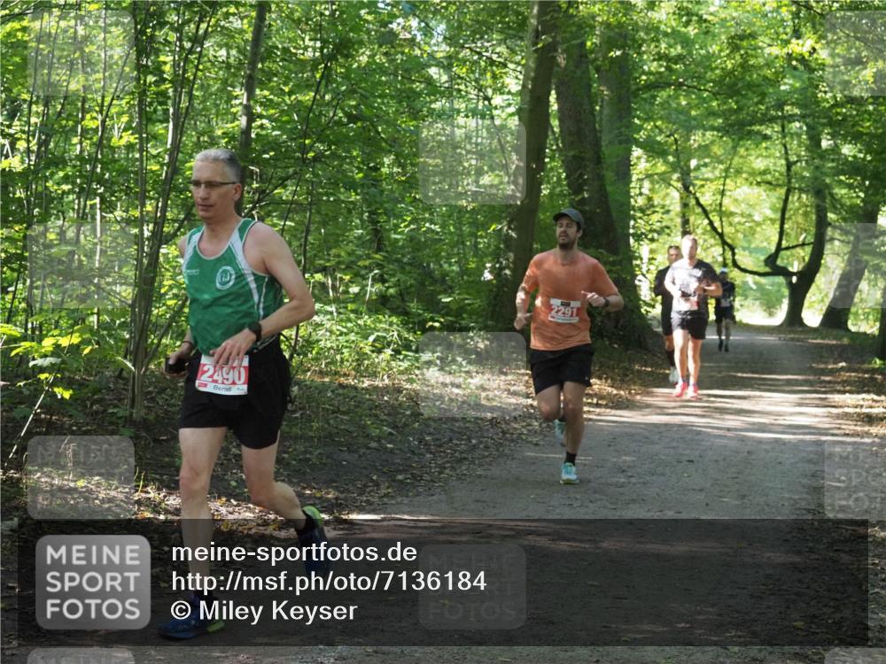 22.09.2024 - 32. Volkslauf durch das schöne Alstertal Miley Keyser http://msf.ph/oto/7136184 22.09.2024 10:41:57 Laufen 2490, 2291 meine-sportfotos.de