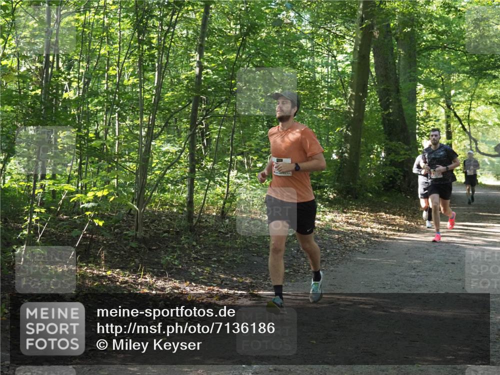 22.09.2024 - 32. Volkslauf durch das schöne Alstertal Miley Keyser http://msf.ph/oto/7136186 22.09.2024 10:41:58 Laufen  meine-sportfotos.de