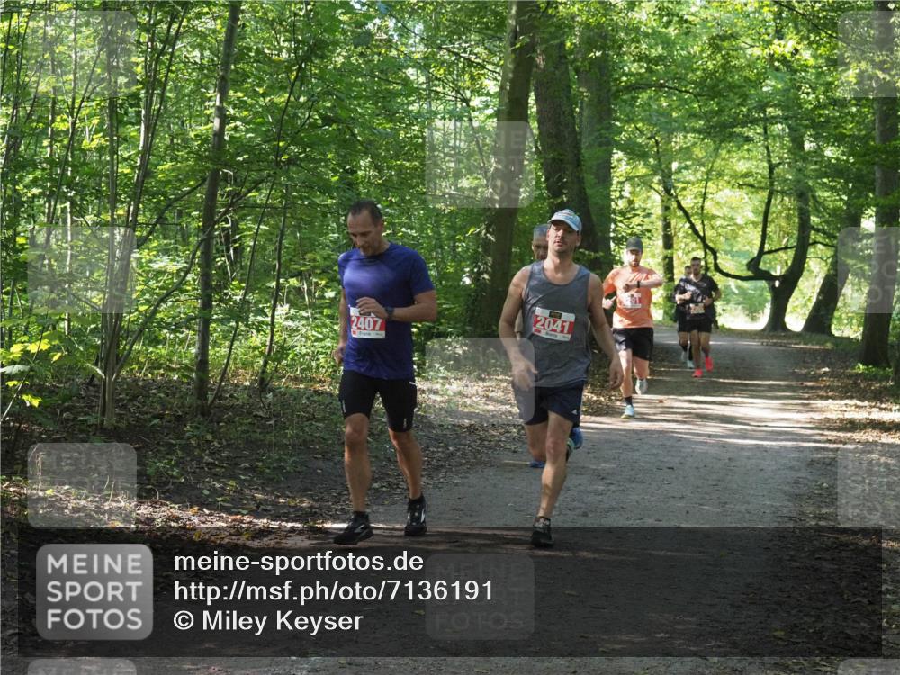 22.09.2024 - 32. Volkslauf durch das schöne Alstertal Miley Keyser http://msf.ph/oto/7136191 22.09.2024 10:41:55 Laufen 2407, 2041 meine-sportfotos.de