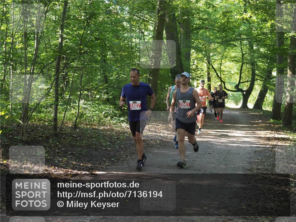 22.09.2024 - 32. Volkslauf durch das schöne Alstertal Miley Keyser http://msf.ph/oto/7136194 22.09.2024 10:41:55 Laufen 2407, 2041, 291 meine-sportfotos.de
