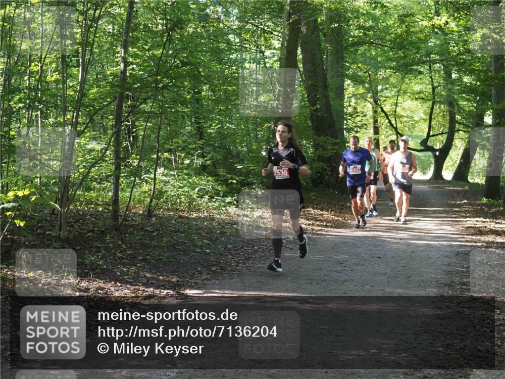 22.09.2024 - 32. Volkslauf durch das schöne Alstertal Miley Keyser http://msf.ph/oto/7136204 22.09.2024 10:41:52 Laufen 2535, 2407 meine-sportfotos.de