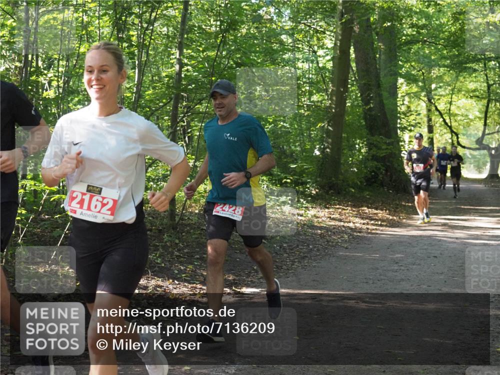 22.09.2024 - 32. Volkslauf durch das schöne Alstertal Miley Keyser http://msf.ph/oto/7136209 22.09.2024 10:41:46 Laufen 2162, 2428 meine-sportfotos.de
