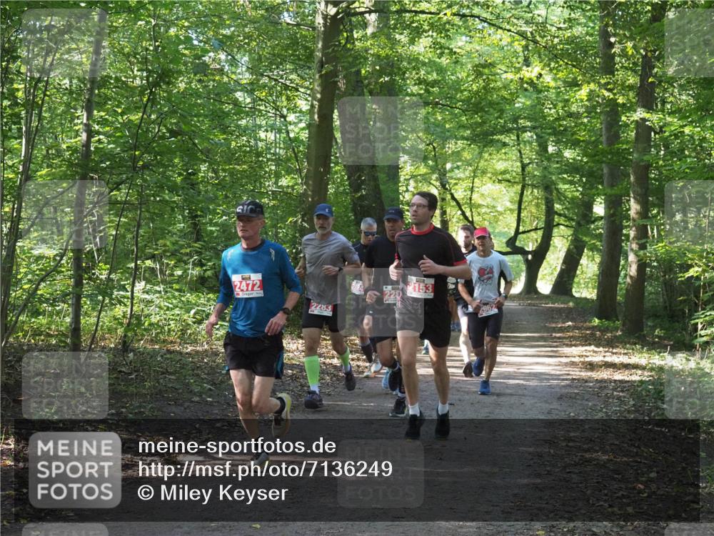 22.09.2024 - 32. Volkslauf durch das schöne Alstertal Miley Keyser http://msf.ph/oto/7136249 22.09.2024 10:41:33 Laufen 2472, 2283, 2153, 2962 meine-sportfotos.de