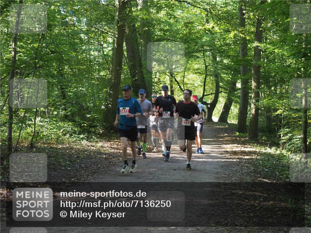 22.09.2024 - 32. Volkslauf durch das schöne Alstertal Miley Keyser http://msf.ph/oto/7136250 22.09.2024 10:41:32 Laufen 2472, 2281, 2153 meine-sportfotos.de
