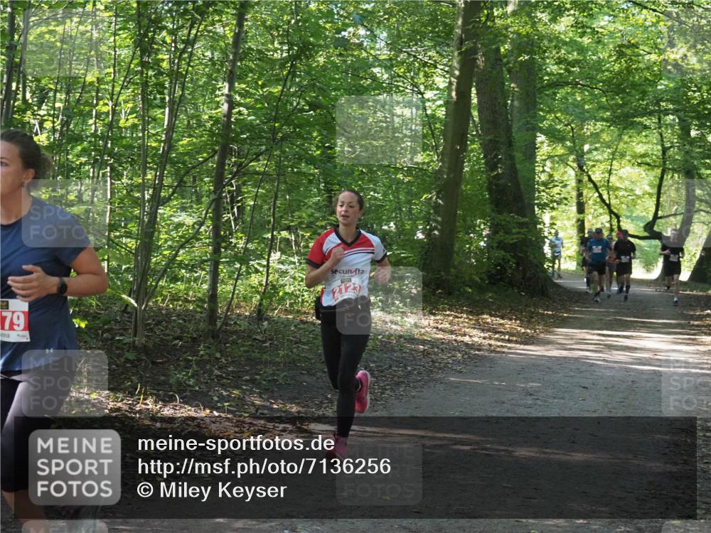 22.09.2024 - 32. Volkslauf durch das schöne Alstertal Miley Keyser http://msf.ph/oto/7136256 22.09.2024 10:41:26 Laufen 79, 2123 meine-sportfotos.de