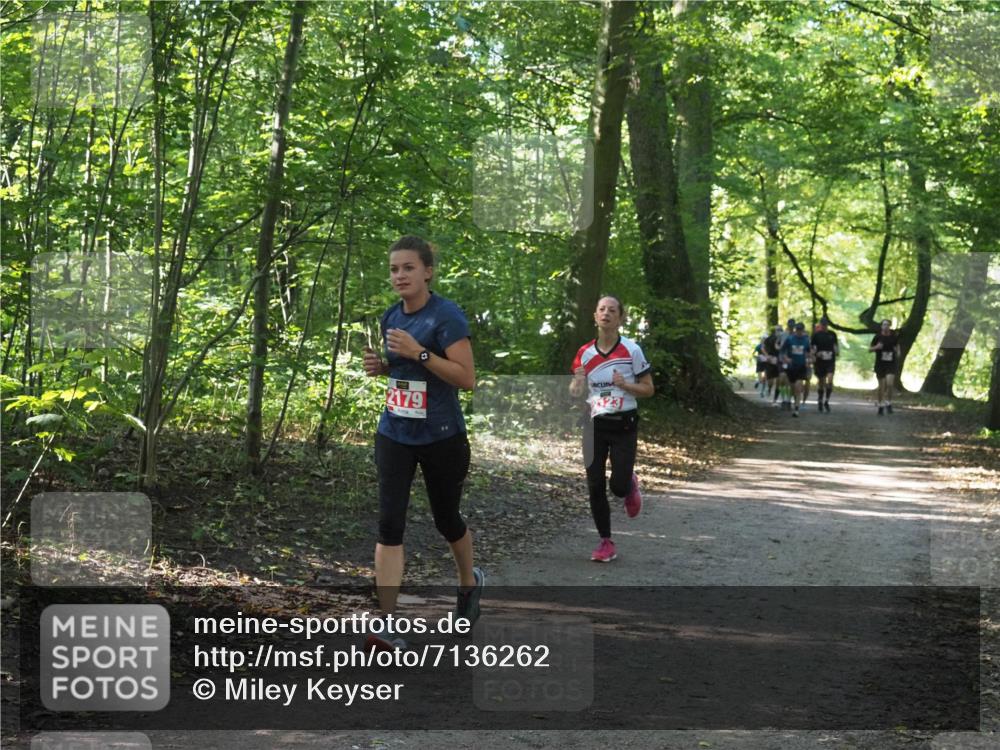 22.09.2024 - 32. Volkslauf durch das schöne Alstertal Miley Keyser http://msf.ph/oto/7136262 22.09.2024 10:41:25 Laufen 2179, 123 meine-sportfotos.de
