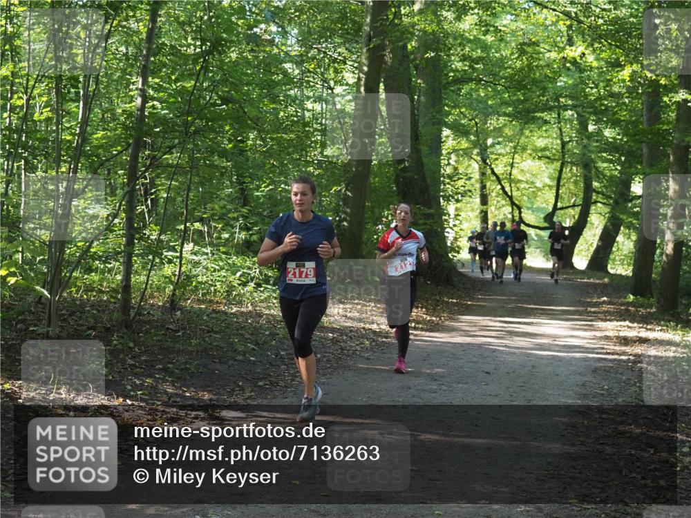 22.09.2024 - 32. Volkslauf durch das schöne Alstertal Miley Keyser http://msf.ph/oto/7136263 22.09.2024 10:41:24 Laufen 2179, 2123 meine-sportfotos.de