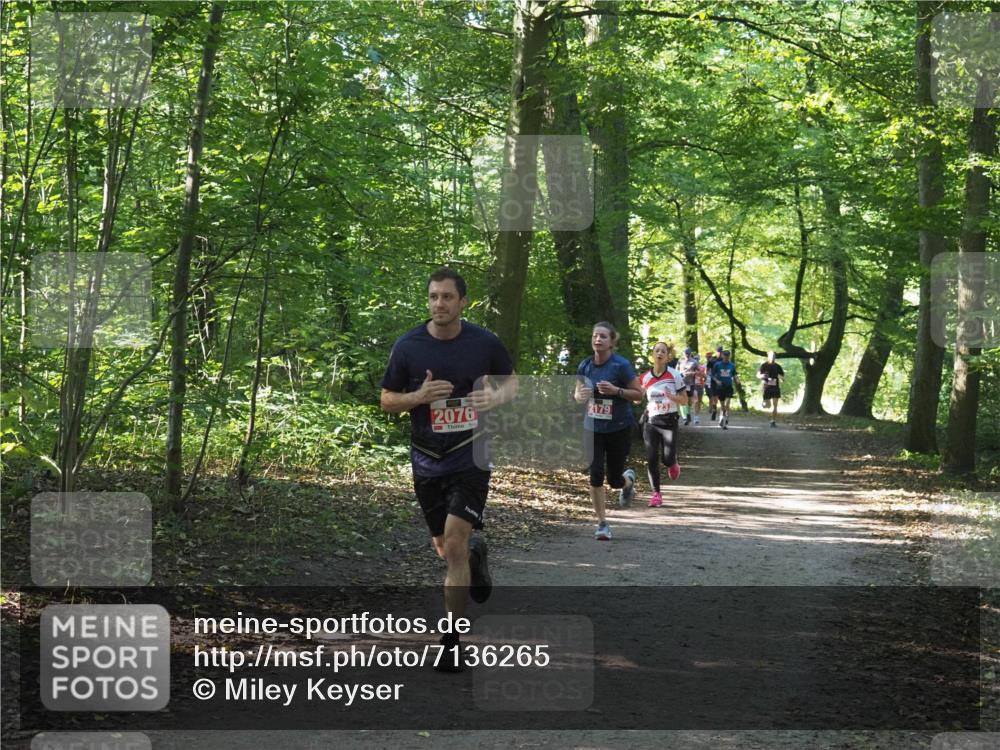 22.09.2024 - 32. Volkslauf durch das schöne Alstertal Miley Keyser http://msf.ph/oto/7136265 22.09.2024 10:41:23 Laufen 2076, 2179, 23 meine-sportfotos.de