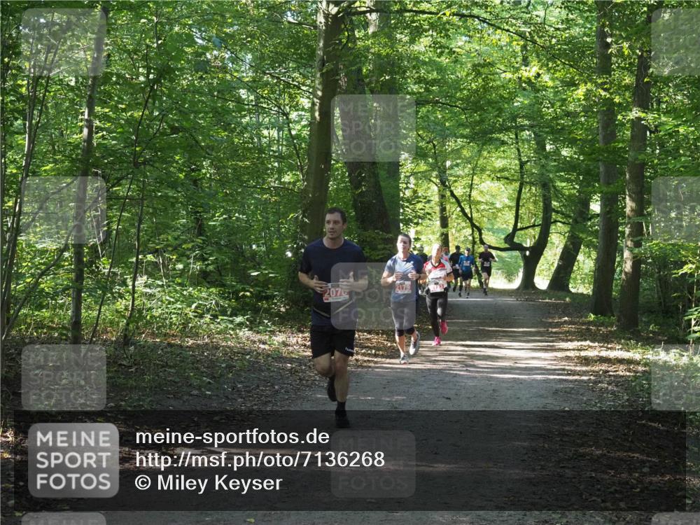 22.09.2024 - 32. Volkslauf durch das schöne Alstertal Miley Keyser http://msf.ph/oto/7136268 22.09.2024 10:41:22 Laufen 207 meine-sportfotos.de