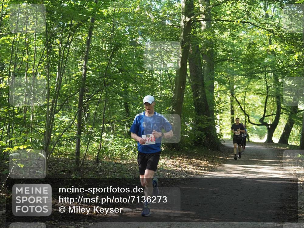 22.09.2024 - 32. Volkslauf durch das schöne Alstertal Miley Keyser http://msf.ph/oto/7136273 22.09.2024 10:41:18 Laufen 521 meine-sportfotos.de