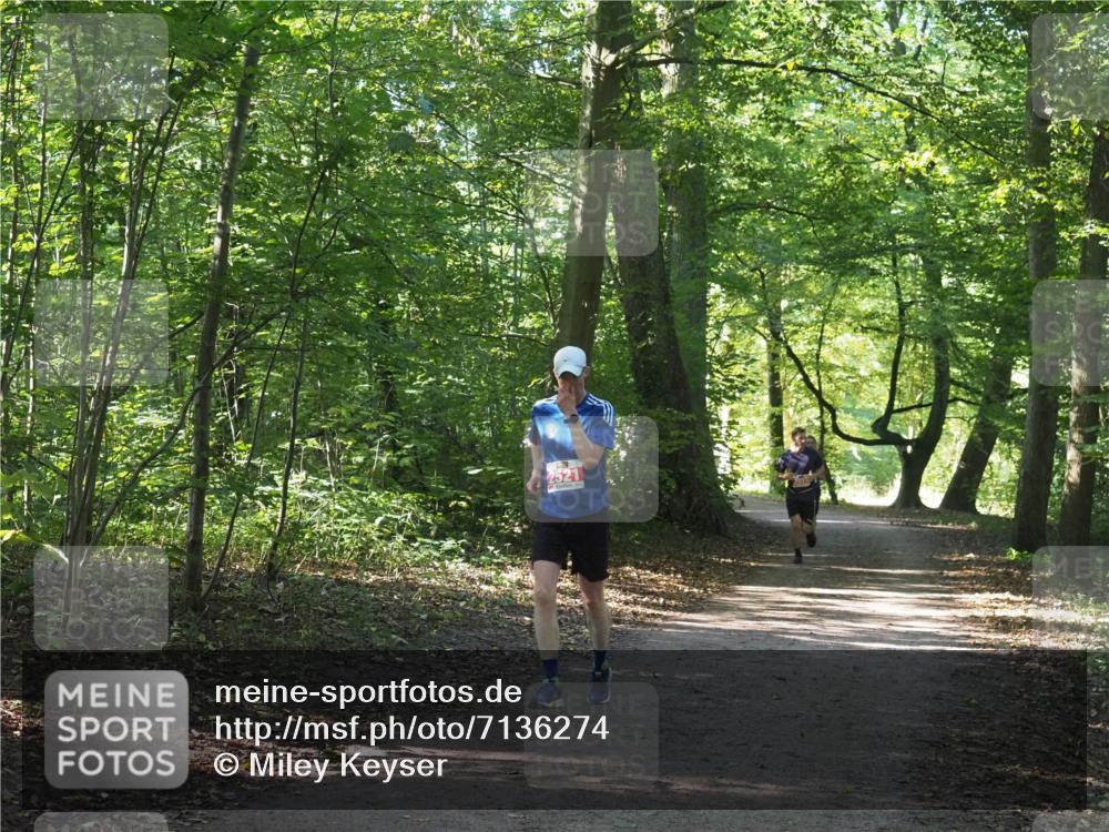 22.09.2024 - 32. Volkslauf durch das schöne Alstertal Miley Keyser http://msf.ph/oto/7136274 22.09.2024 10:41:17 Laufen 2521 meine-sportfotos.de