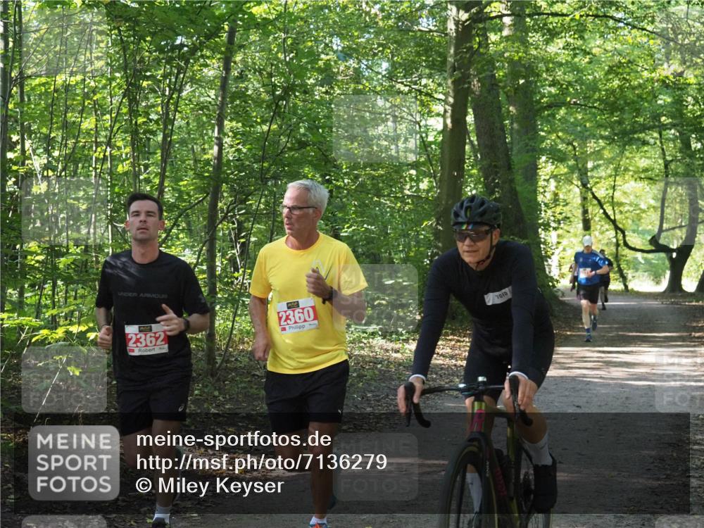 22.09.2024 - 32. Volkslauf durch das schöne Alstertal Miley Keyser http://msf.ph/oto/7136279 22.09.2024 10:41:14 Laufen 2362, 3, 2360 meine-sportfotos.de
