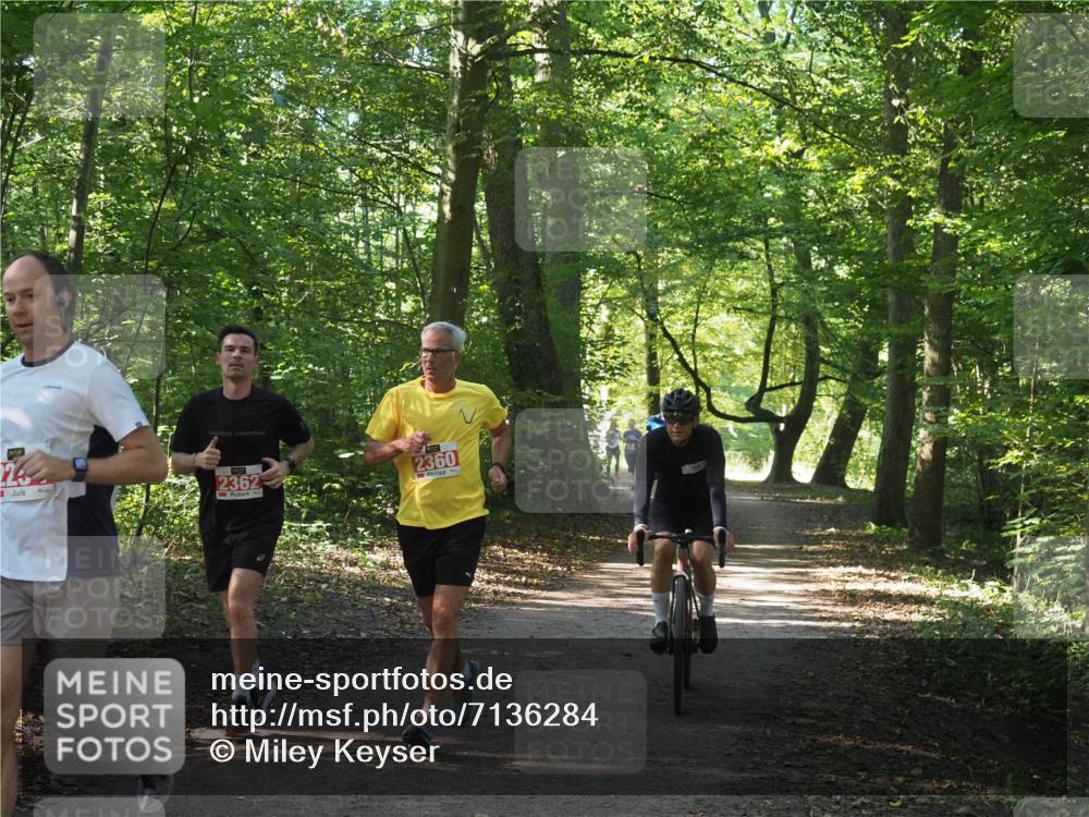 22.09.2024 - 32. Volkslauf durch das schöne Alstertal Miley Keyser http://msf.ph/oto/7136284 22.09.2024 10:41:13 Laufen 2362, 2360 meine-sportfotos.de