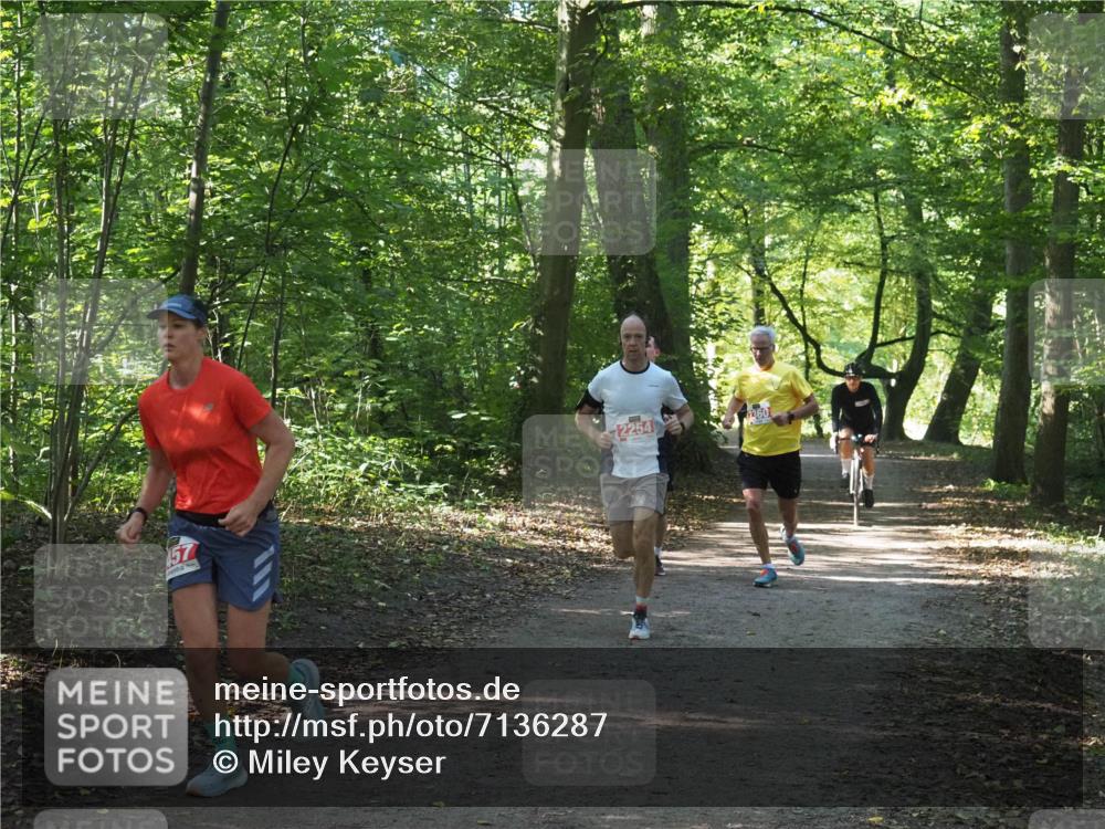 22.09.2024 - 32. Volkslauf durch das schöne Alstertal Miley Keyser http://msf.ph/oto/7136287 22.09.2024 10:41:11 Laufen 157, 2254, 360 meine-sportfotos.de