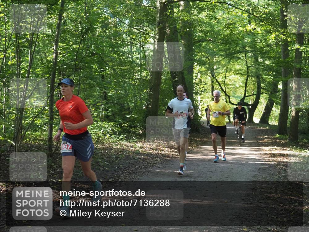 22.09.2024 - 32. Volkslauf durch das schöne Alstertal Miley Keyser http://msf.ph/oto/7136288 22.09.2024 10:41:11 Laufen 457, 2360 meine-sportfotos.de