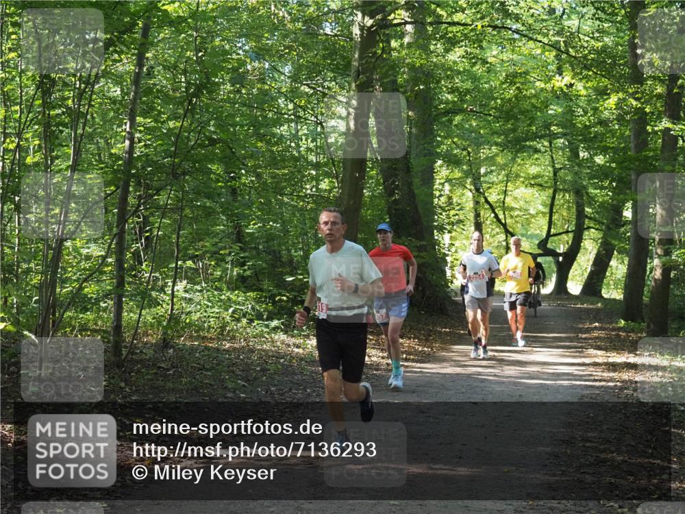 22.09.2024 - 32. Volkslauf durch das schöne Alstertal Miley Keyser http://msf.ph/oto/7136293 22.09.2024 10:41:09 Laufen 2254 meine-sportfotos.de