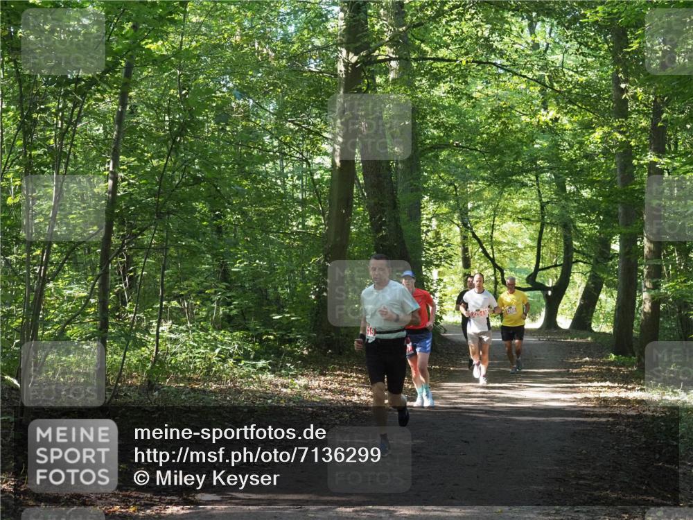 22.09.2024 - 32. Volkslauf durch das schöne Alstertal Miley Keyser http://msf.ph/oto/7136299 22.09.2024 10:41:08 Laufen 23601 meine-sportfotos.de