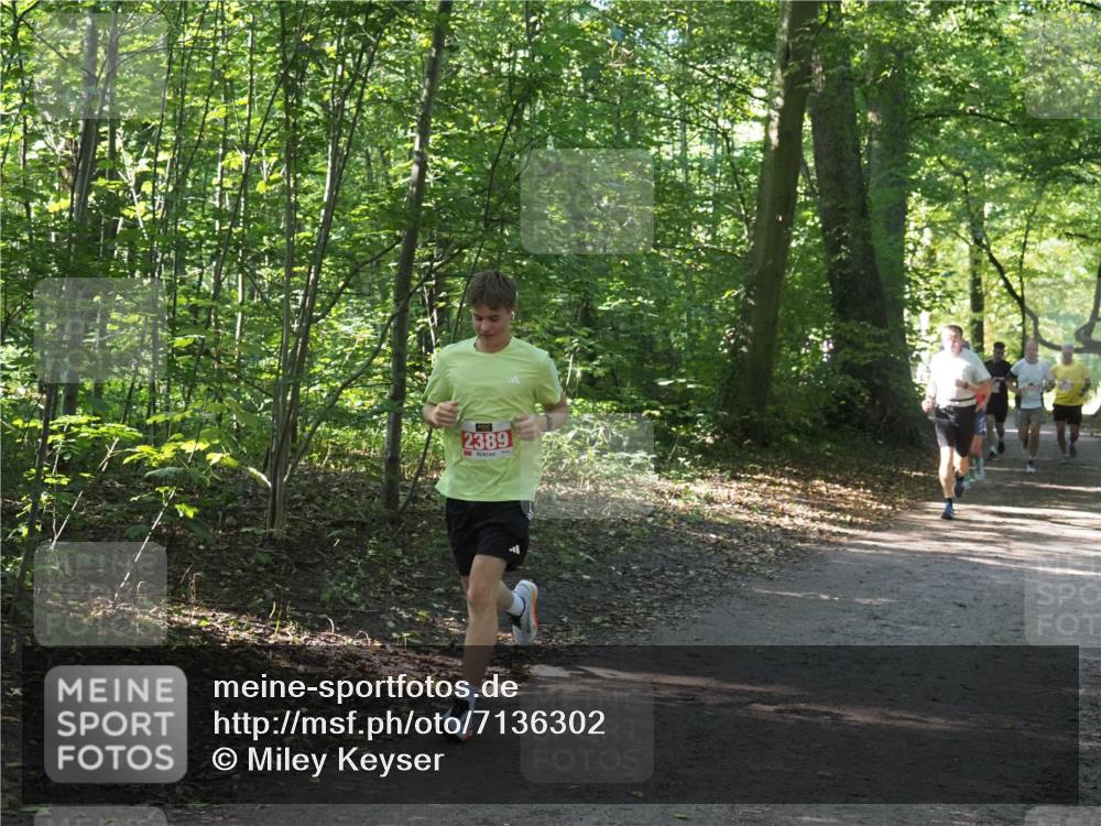 22.09.2024 - 32. Volkslauf durch das schöne Alstertal Miley Keyser http://msf.ph/oto/7136302 22.09.2024 10:41:06 Laufen 2389 meine-sportfotos.de