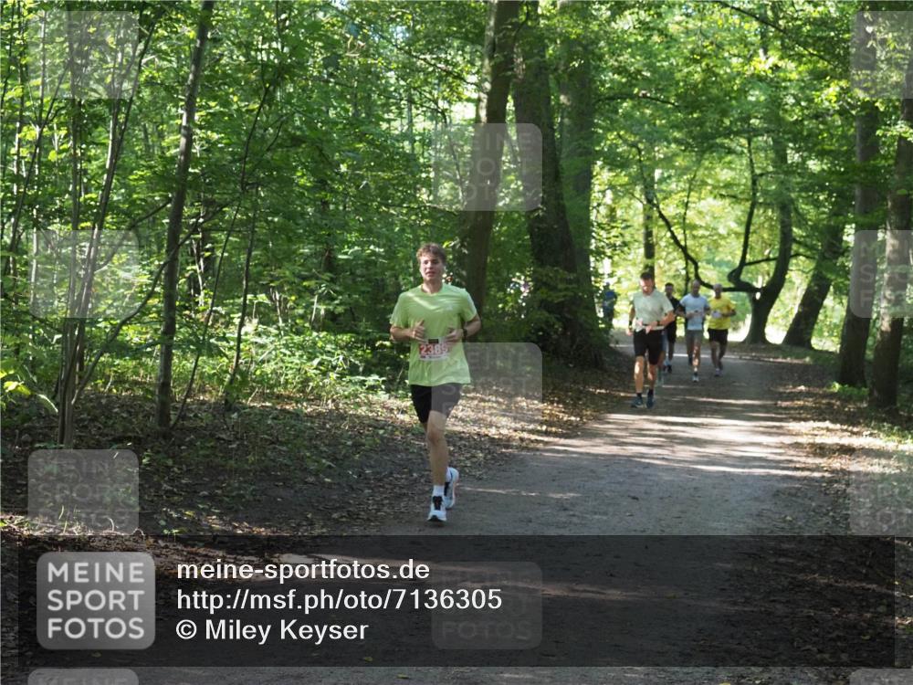 22.09.2024 - 32. Volkslauf durch das schöne Alstertal Miley Keyser http://msf.ph/oto/7136305 22.09.2024 10:41:05 Laufen 2385 meine-sportfotos.de